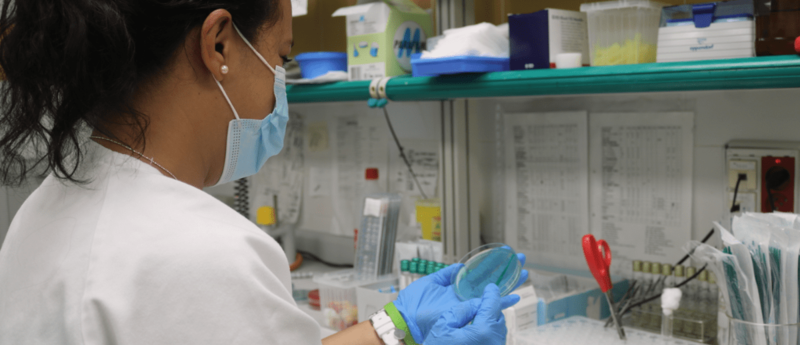 Imagen de archivo de una prueba de detección de viruela del mono / TA